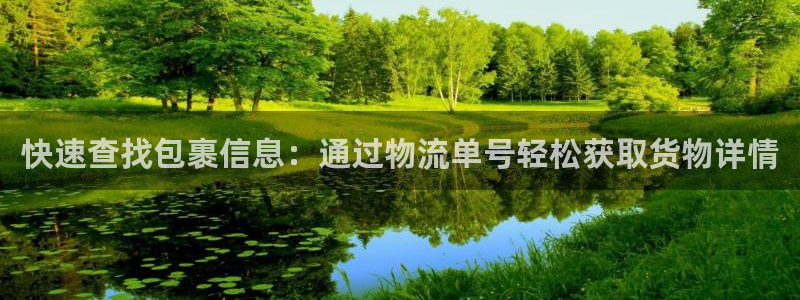 ,优游国际：快速查找包裹信息：通过物