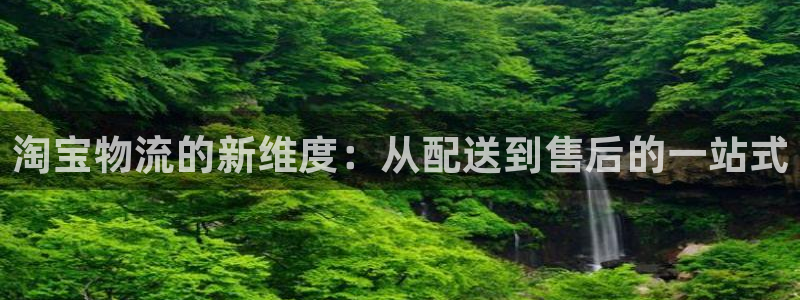 ,优游国际返水怎么算的：淘宝物流的新维度：从配送到售后的一站