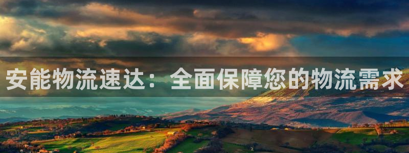 ,优游国际南宫娱乐官网：安能物流速达