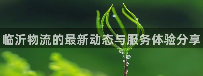 ,优游国际开奖预测：临沂物流的最新动
