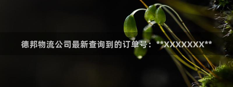 ,优游国际流水怎么算：德邦物流公司最