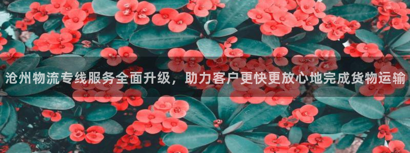 ,优游国际官网版所有版本：沧州物流专