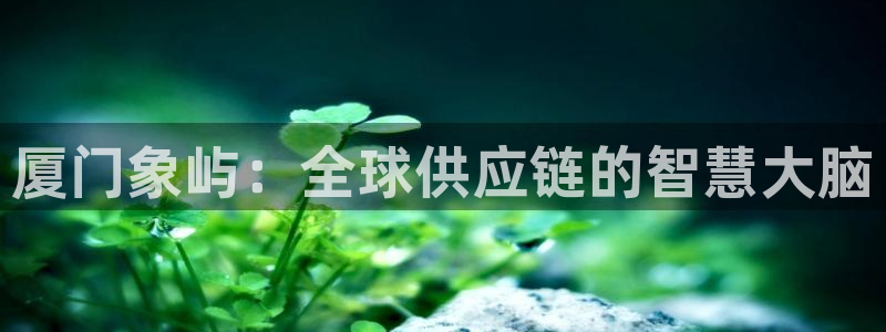 ,优游国际app怎么注销：厦门象屿：