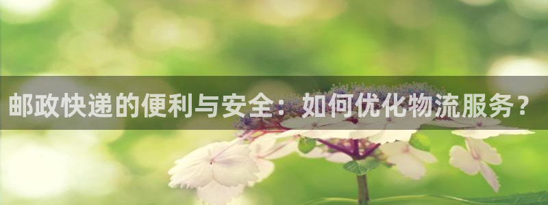 ,优游国际的平台：邮政快递的便利与安