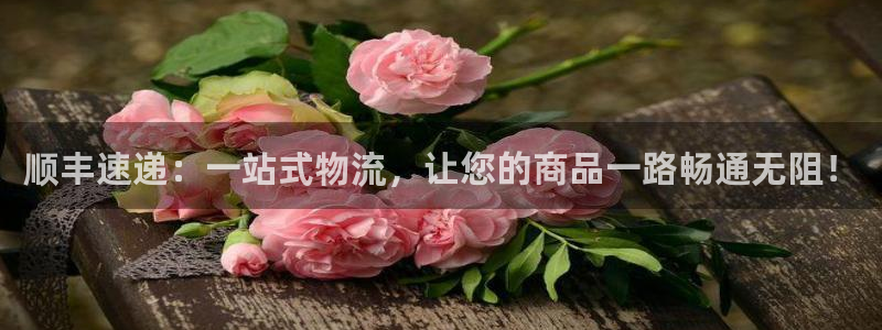 ,优游国际退款：顺丰速递：一站式物流