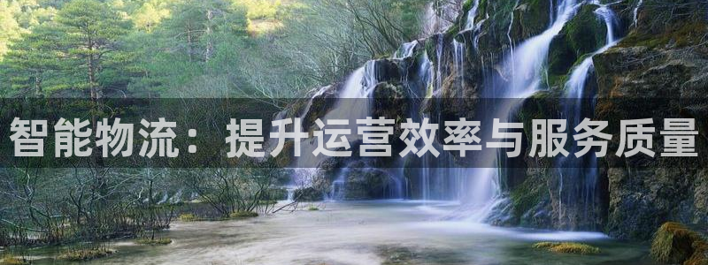 ,优游国际预测加拿大：智能物流：提升运营效率与服务质量