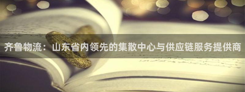 ,优游国际娱乐官网网页：齐鲁物流：山