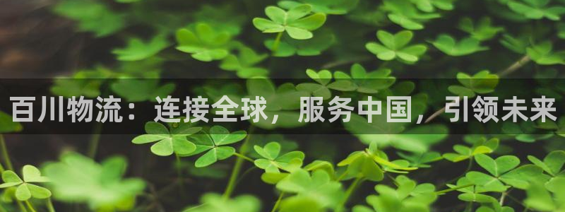 ,优游国际南宫娱乐官网：百川物流：连
