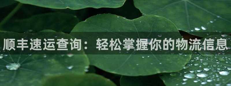 ,优游国际下载二维码