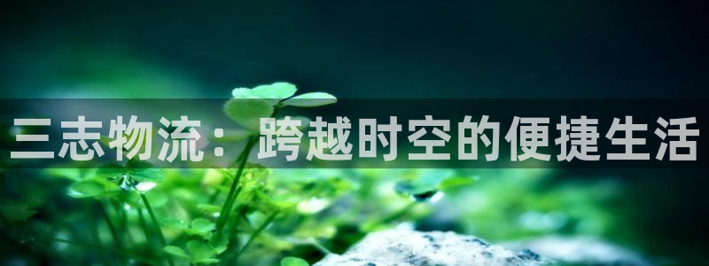 ,优游国际自行车图片大全：三志物流：