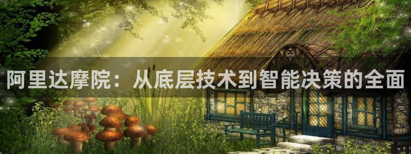 自行车,优游国际是什么意思：阿里达摩