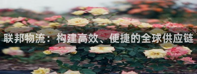 ,优游国际预测加拿大师准：联邦物流：