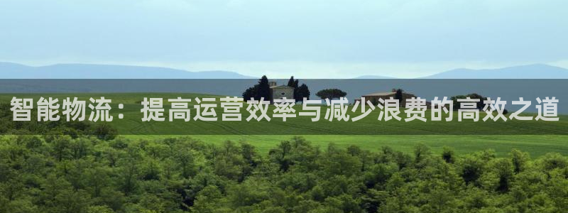 ,优游国际登录流程：智能物流：提高运