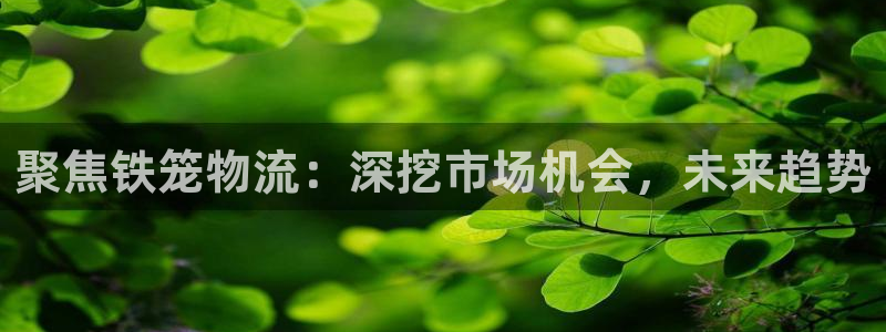 南宫,优游国际官网：聚焦铁笼物流：深