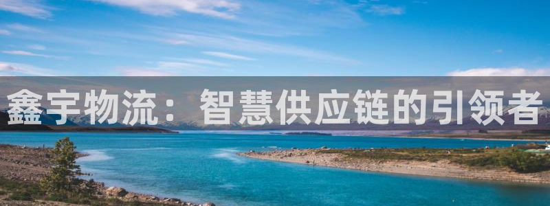 ,优游国际充值不到账怎么办：鑫宇物流