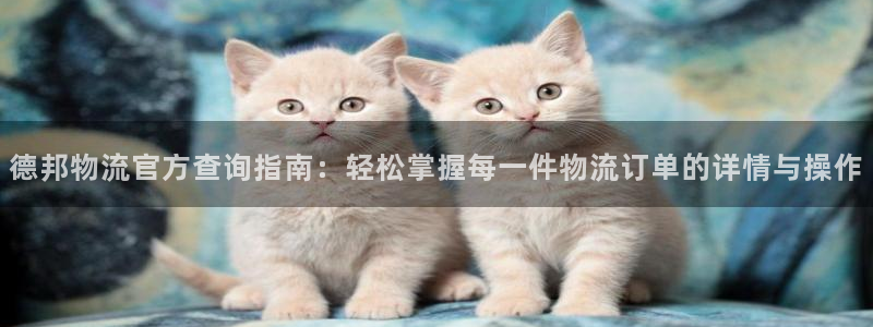 ,优游国际注册流程：德邦物流官方查询