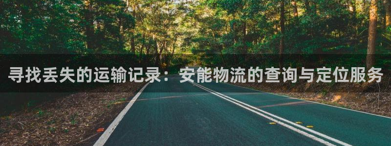 ,优游国际注册送：寻找丢失的运输记录