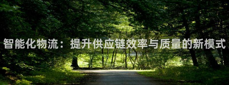 ,优游国际玩法：智能化物流：提升供应