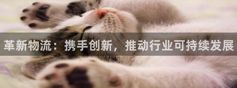 ,优游国际下载体育：革新物流：携手创新，推动行业可持续发展