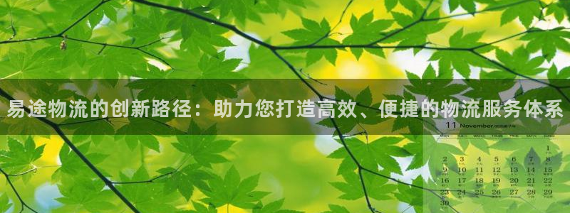 ,优游国际的自行车：易途物流的创新路径：助力您打造高效、便捷
