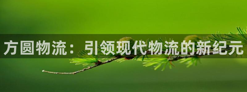 ,优游国际注册平台:方圆物流:引领现