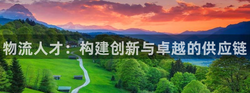 ,优游国际APP是干什么的:物流人才