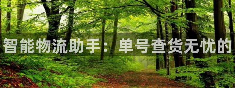 ,优游国际大舞台