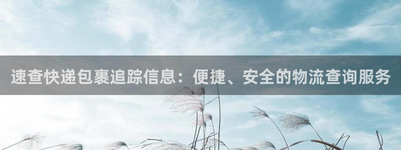 ,优游国际注册链接教程：速查快递包裹