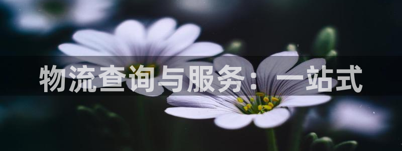 ,优游国际官方官网版：物流查询与服务
