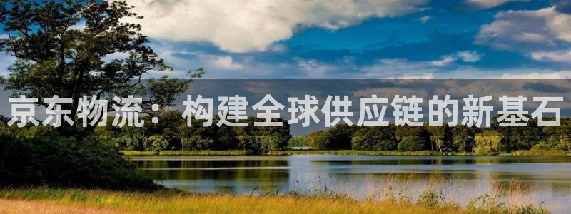 优游国际官网入口pc28：京东物流：构建全球供应链的新基石