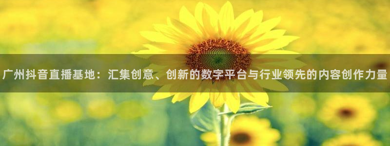 24直播 nba：广州抖音直播基地：汇集创意、创新的数字平台与行业领先的内容创作力量