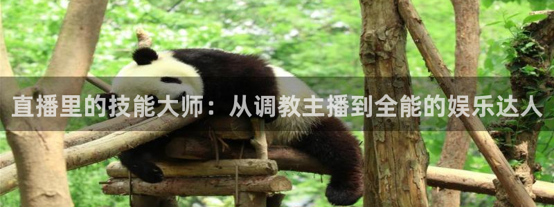 24直播网址：直播里的技能大师：从调教主播到全能的娱乐达人