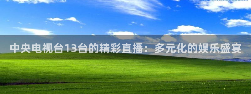 nba免费直播24直播网：中央电视台13台的精彩直播：多元化的娱乐盛宴