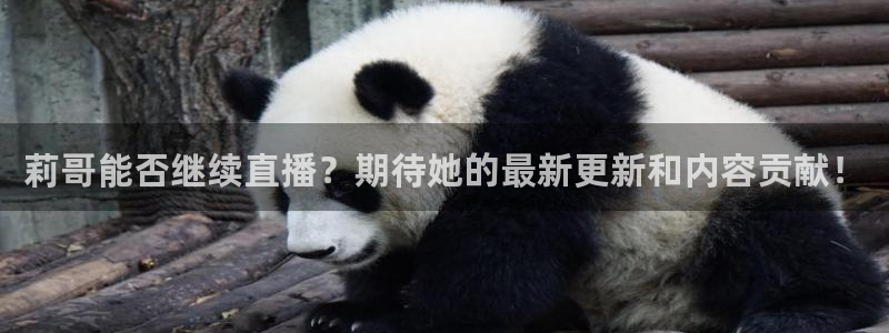 24直播吧nba直播：莉哥能否继续直播？期待她的最新更新和内容贡献！