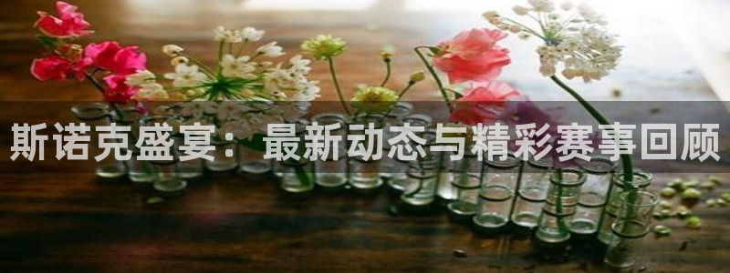 24直播网足球直播网：斯诺克盛宴：最新动态与精彩赛事回顾