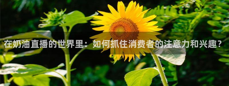 24直播nba免费高清在线观看：在奶油直播的世界里：如何抓住消费者的注意力和兴趣？