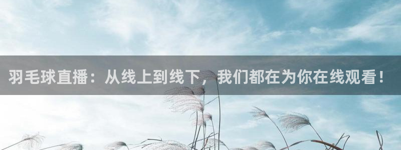 24直播体育直播nba直播：羽毛球直播：从线上到线下，我们都在为你在线观看！