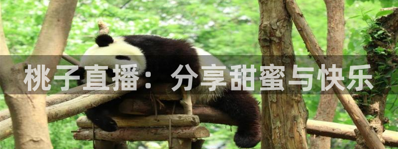 nba直播在线观看24直播网：桃子直播：分享甜蜜与快乐